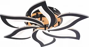 Люстра на штанге Rivoli Cassandra 6194-733