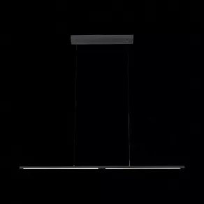 Подвесной светильник ST-Luce Ralio SL1580.403.01