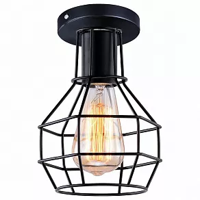 Накладной светильник Arte Lamp 1109 A1109PL-1BK