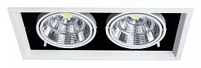 Встраиваемый светильник Arte Lamp Merga A8450PL-2WH