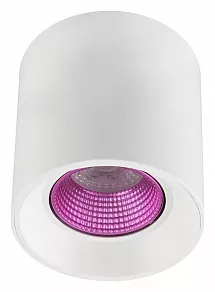 Накладной светильник Denkirs DK3020WPI DK3090-WH+PI
