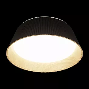 Накладной светильник Loft it Evans 10224 Black