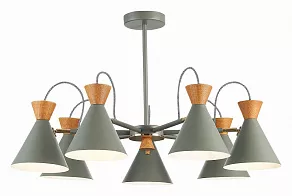 Люстра на штанге EVOLUCE Modica SLE125112-07