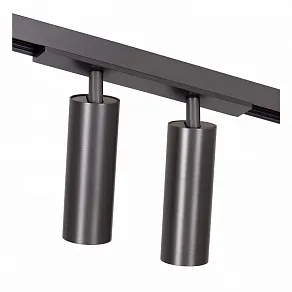 Светильник на штанге Lucide Linial 55902/20/08