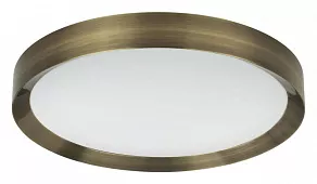 Накладной светильник Odeon Light Lunor 4948/60CL