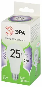 Лампа светодиодная Эра Green Line E27 25Вт 6500K LED A60-25W-865-E27 GL