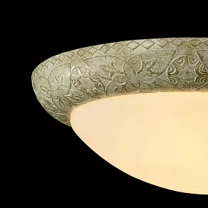 Накладной светильник Maytoni Lorena C366-CL-03-BG