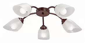 Потолочная люстра Vitaluce V3750 V3750-7/5PL