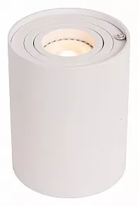 Настольная лампа декоративная Lucide Tube 2552/05/31
