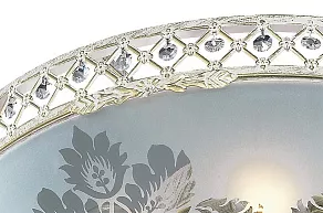 Накладной светильник Odeon Light Aspena 2777/6C
