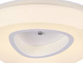 Накладной светильник ST-Luce Regen SL878.502.01