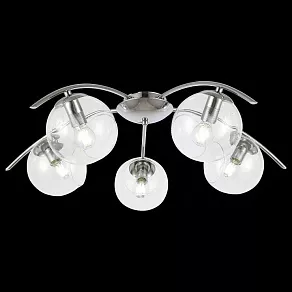 Потолочная люстра EVOLUCE Ratella SLE102602-05