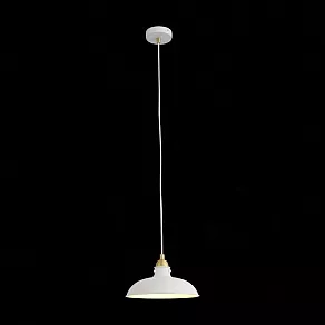 Подвесной светильник ST-Luce Pietanza SL323.503.01