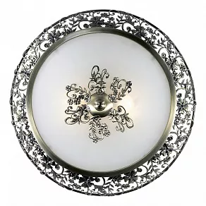 Накладной светильник Odeon Light Balasa 2726/2C