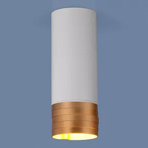 Накладной светильник Elektrostandard DLN102/DLN103 DLN102 GU10