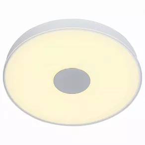Накладной светильник ST-Luce Semplicita SL473.502.01