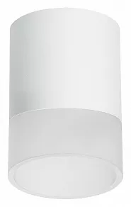 Накладной светильник Lightstar Rullo R348681