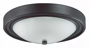 Накладной светильник Lumion Nina 5260/2C