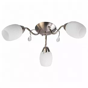 Потолочная люстра TopLight Paula TL3550X-03SN