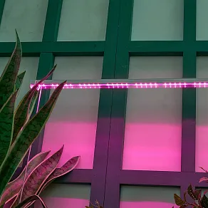 Светильник для растений Uniel ULI-P UL-00010528