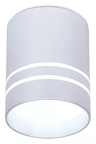 Накладной светильник Ambrella TN TN241