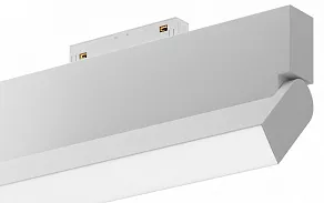 Накладной светильник Maytoni Basis Rot TR075-2-20W3K-W