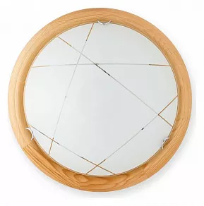 Накладной светильник TopLight Karen TL9013Y-02PN