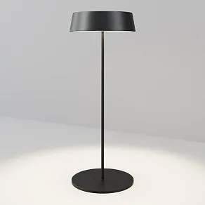 Наземный низкий светильник Maytoni Outdoor Porto O540TL-L2BCCT