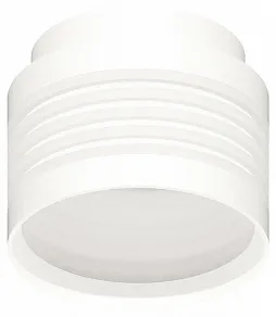 Накладной светильник Ambrella Light C C8431