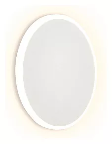 Накладной светильник Ambrella FW FW103