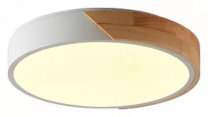 Накладной светильник Zortes ALBERRO ZRS.01289.48