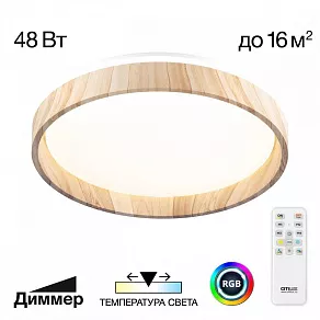 Накладной светильник Citilux ENZO CL753352G