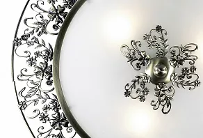 Накладной светильник Odeon Light Balasa 2726/3C