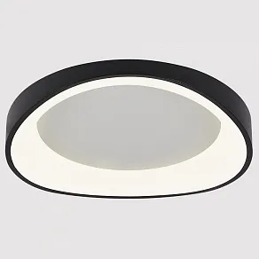 Накладной светильник Arte Lamp None A2698PL-60BK