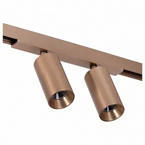 Светильник на штанге Lucide Linial 55901/16/05