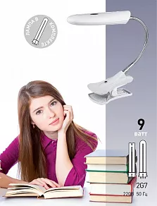Настольная лампа офисная Эра NL207 C0044889