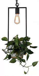 Подвесной светильник Favourite Situla 1975-1P