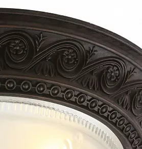 Накладной светильник Arte Lamp Piatti A8006PL-2CK