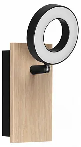 Спот Eglo RIELVES 901202