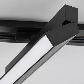 Накладной светильник Elektrostandard Arda 85016/01