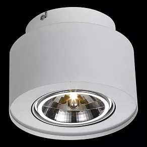 Накладной светильник Arte Lamp Cliff A5643PL-1WH