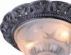 Накладной светильник Arte Lamp Piatti A8001PL-2SB