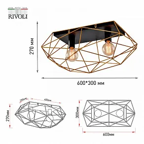 Накладной светильник Rivoli Roxana Б0053043