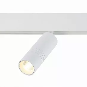 Светильник на штанге ST-Luce Lemmi ST365.536.12