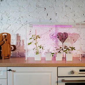 Лампа светодиодная Uniel  G13 9Вт K UL-00006697