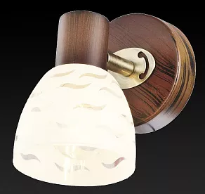 Спот TopLight Shayla TL3730Y-01BB