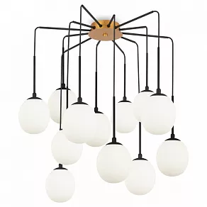 Потолочная люстра Maytoni Branch MOD176PL-12G