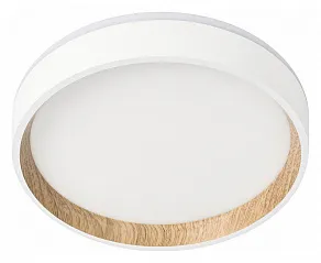 Накладной светильник Citilux Etalon CL750180