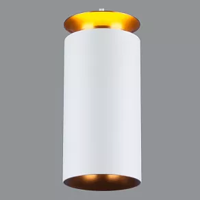 Подвесной светильник Elektrostandard DLS021 9+4W 4200К DLS021 9+4W 4200К