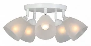 Потолочная люстра Vitaluce V4355 V4355-0/5PL